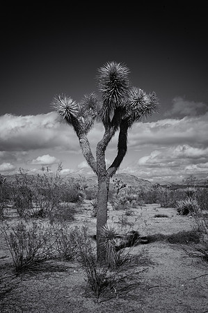 L1018951-Edit