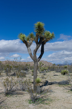L1018951