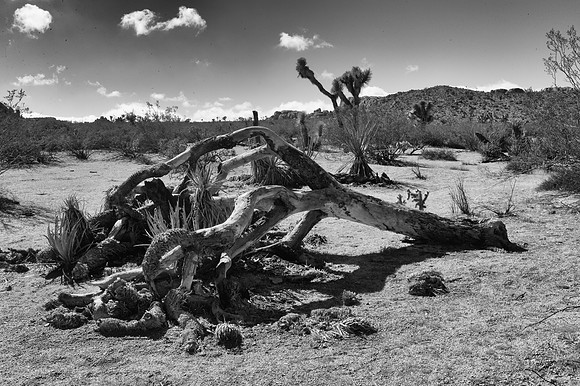 L1018957-Edit