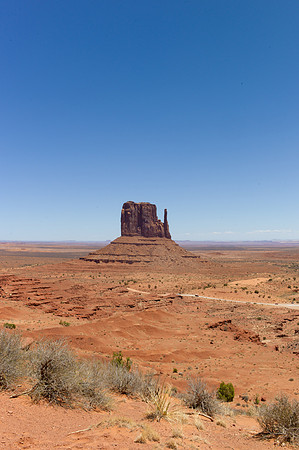 L1019799