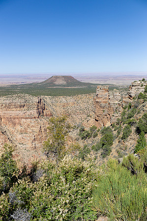 L1019822