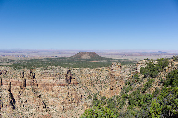L1019828